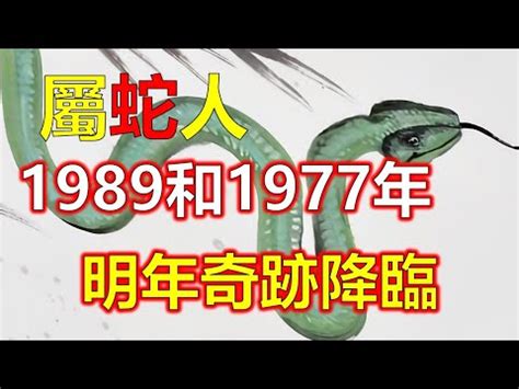 1989 屬蛇|1989年属蛇是什么命，89年出生五行属什么